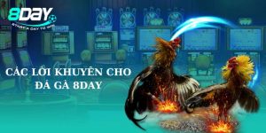 Tổng hợp sai lầm cần tránh khi tham gia đá gà 8Day